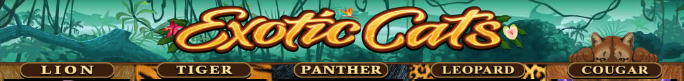 Exotic Slots Online Slot Cat Reels